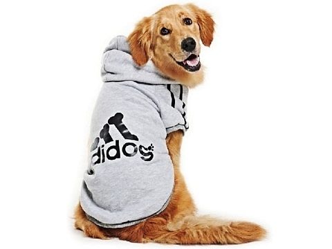 Hunde-Jumpsuit Hundemantel Hundekleidung