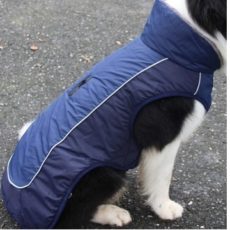 Hundemantel - Hundekleidung